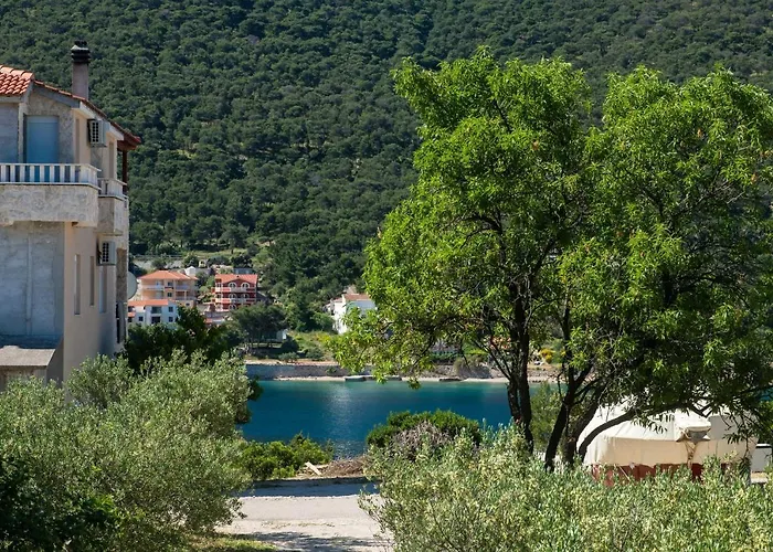 Niko Daire Grebaštica