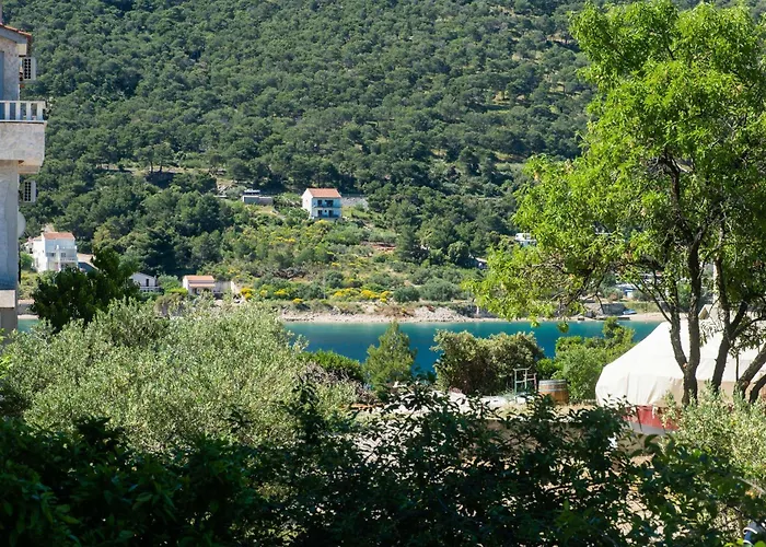 Niko Daire Grebaštica